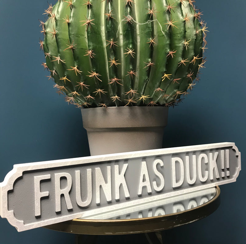Frunk as Duck Street Sign