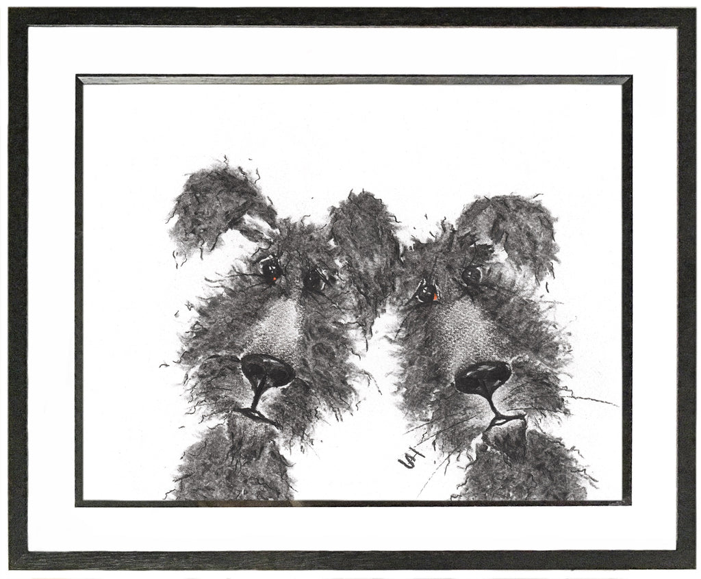 York & Macey Framed Shaggy Dog Illustration | GORGEOUS GEORGE