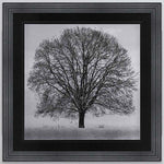 Winter Trees Hand Finished Liquid Art Framed Artwork