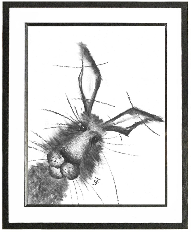 Albert Framed Hare Illustration | GORGEOUS GEORGE