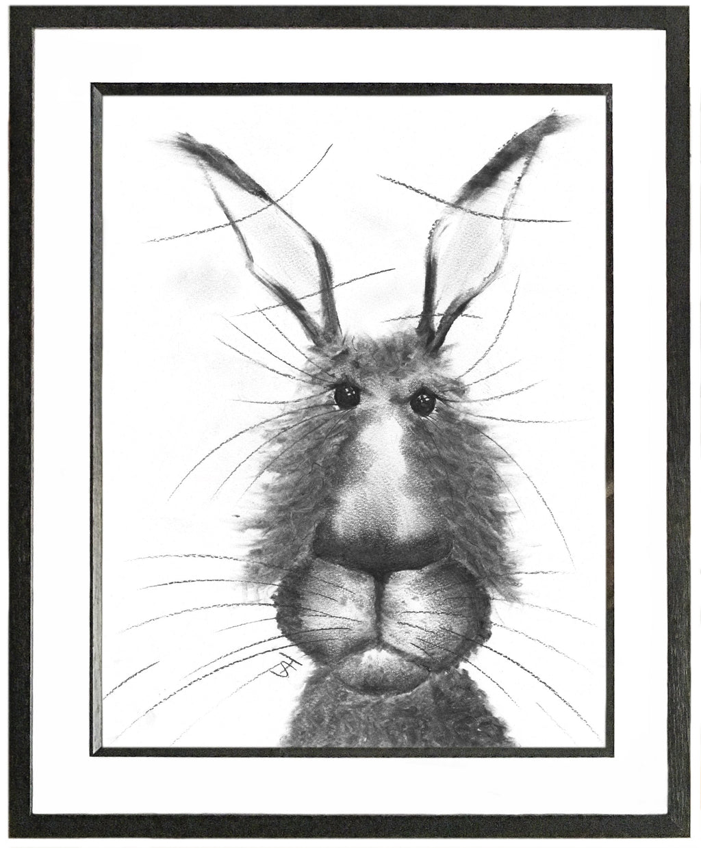 Fredrick Framed Hare Illustration | GORGEOUS GEORGE