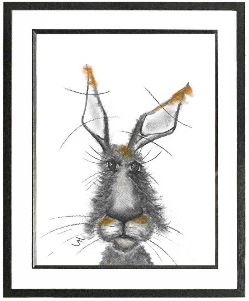 Hector Framed Hare Illustration | GORGEOUS GEORGE