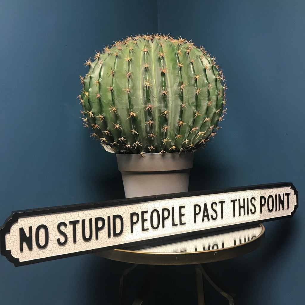 No Stupid People Past this Point Wooden Street Sign | GORGEOUS GEORGE