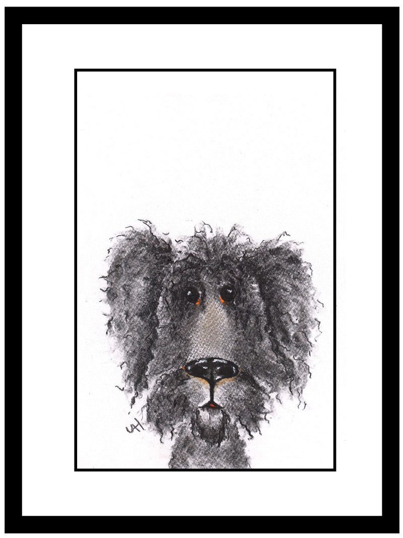 Molly Framed Shaggy Dog Illustration | GORGEOUS GEORGE